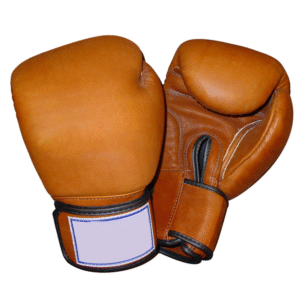 Boxing Glove