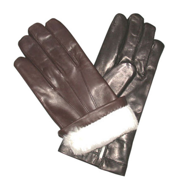 Dressing Gloves