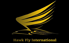 HAWK FLY INTERNATIONAL