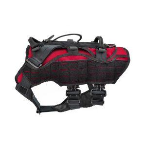 Tactical Ray Allen Nomad