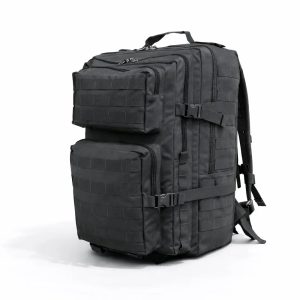Tactical Assault Pack